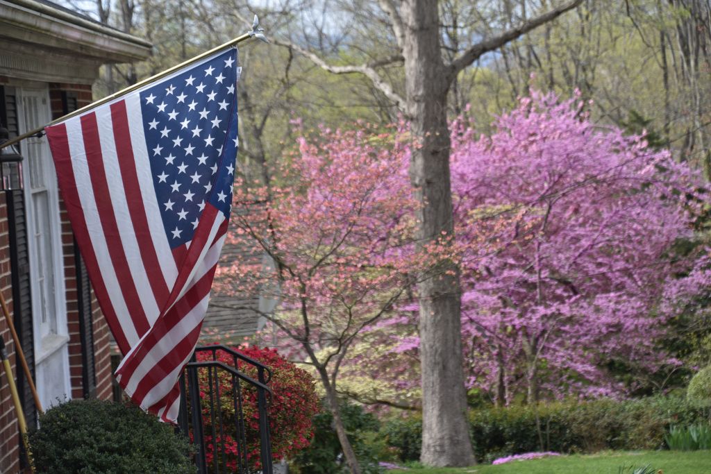 4-4-20 flowers 029 (1024x683).jpg